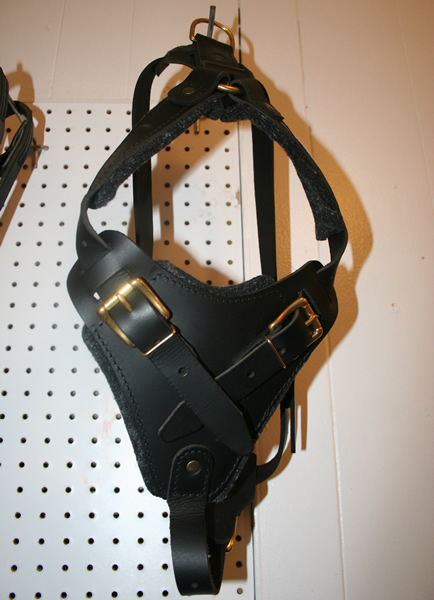 Leather Padded Harness