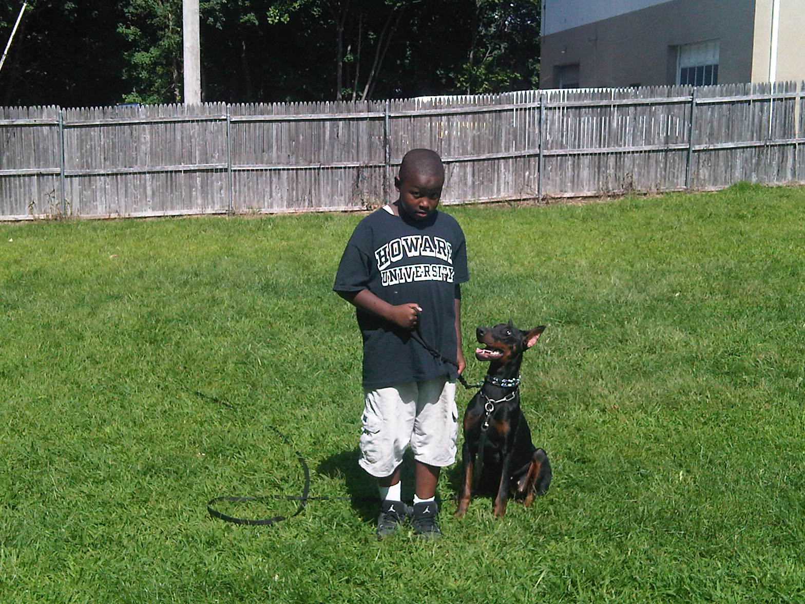 Devin working his 11 month old Doberman 